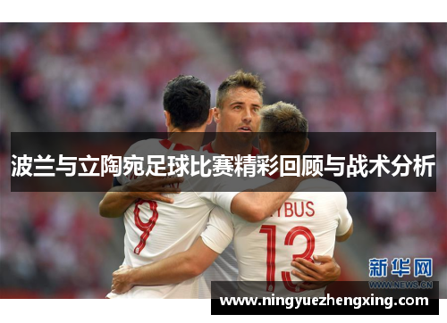 波兰与立陶宛足球比赛精彩回顾与战术分析